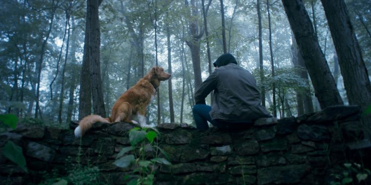 Produktbild: Good Boy - Trust his instincts