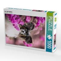Produktbild: CALVENDO Puzzle Leo, der Papillon 1000 Teile Lege-Gr&ouml;&szlig;e 480 x 640 cm Foto-Puzzle Bild von None boegau-fotos