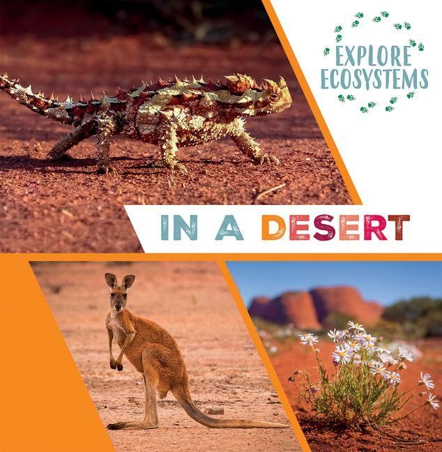 Produktbild: In a Desert