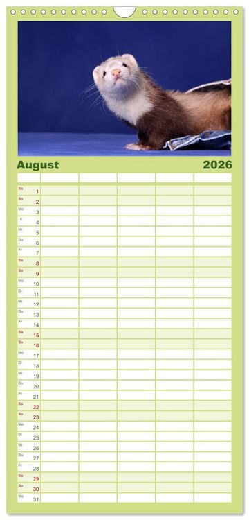 Produktbild: Familienplaner 2026 - Frettchen - Ferrets mit 5 Spalten (Wandkalender, 21 x 45 cm) CALVENDO