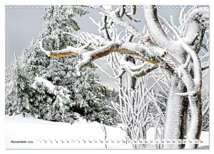 Produktbild: Eiszeit. Winter und Frost in der Natur (Wandkalender 2026 DIN A3 quer), CALVENDO Monatskalender