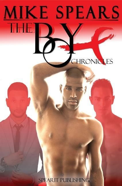 Produktbild: The Boy X Chronicles