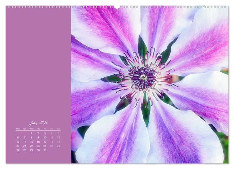 Produktbild: Vibrancy of flowers (High Quality Premium Wall Calendar 2026 DIN A2 landscape),CALVENDO 12 Month Wall Calendar