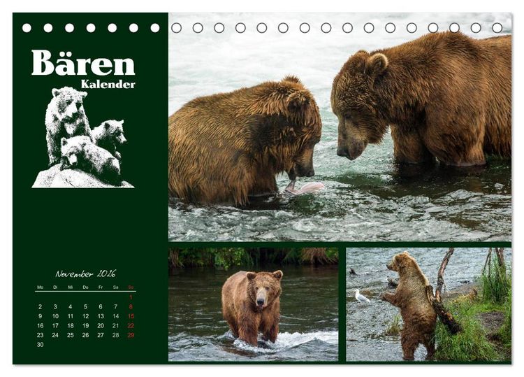 Produktbild: B&auml;renkalender (Tischkalender 2026 DIN A5 quer), CALVENDO Monatskalender