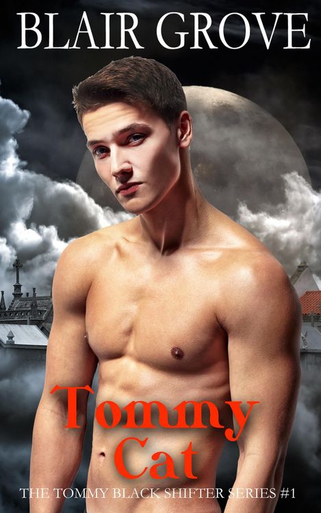 Produktbild: Tommy Cat (The Tommy Black Shifter Series, #1)
