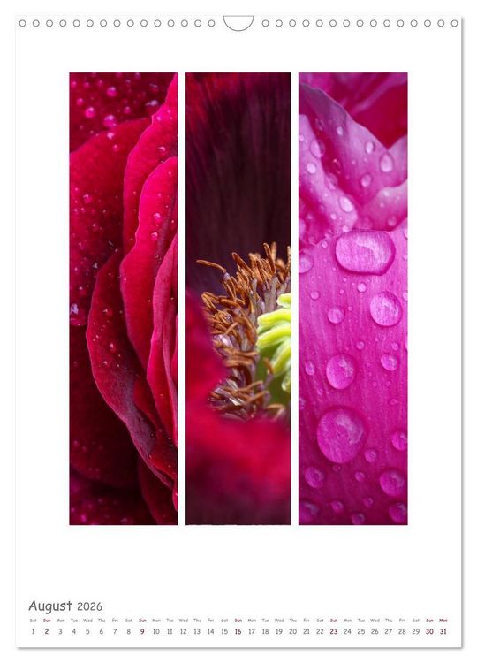Produktbild: Colours of Nature - Triptycha (Wall Calendar 2026 DIN A3 portrait), CALVENDO 12 Month Wall Calendar