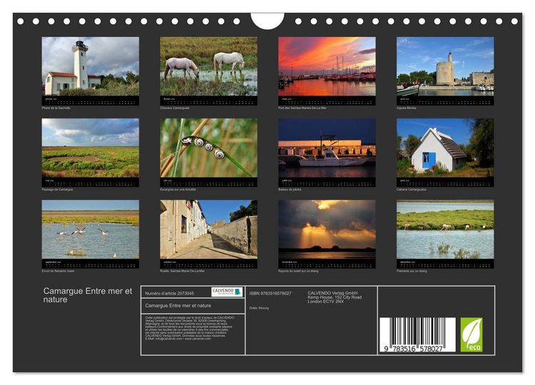 Produktbild: Camargue Entre mer et nature (Calendrier mural 2026 DIN A4 vertical), CALVENDO calendrier mensuel