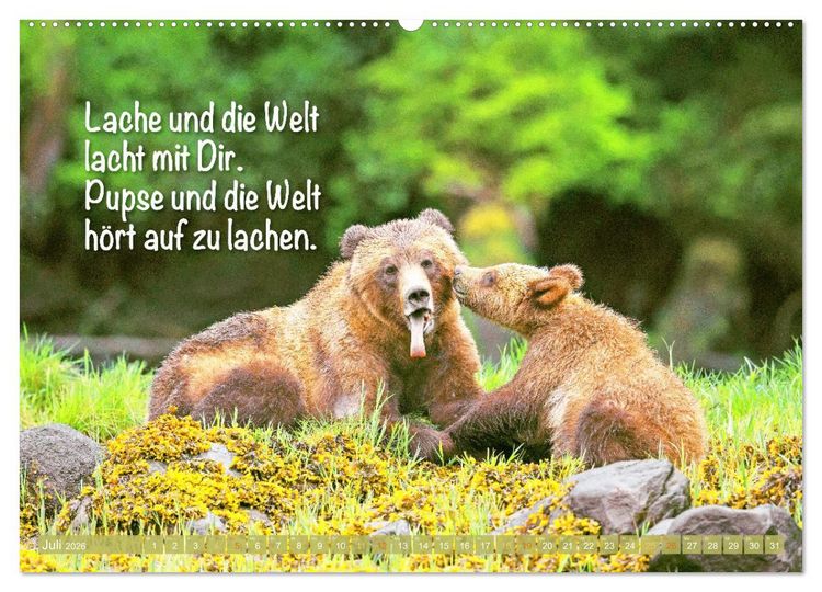 Produktbild: Spa&szlig; mit B&auml;ren: Edition lustige Tiere (Wandkalender 2026 DIN A2 quer), CALVENDO Monatskalender