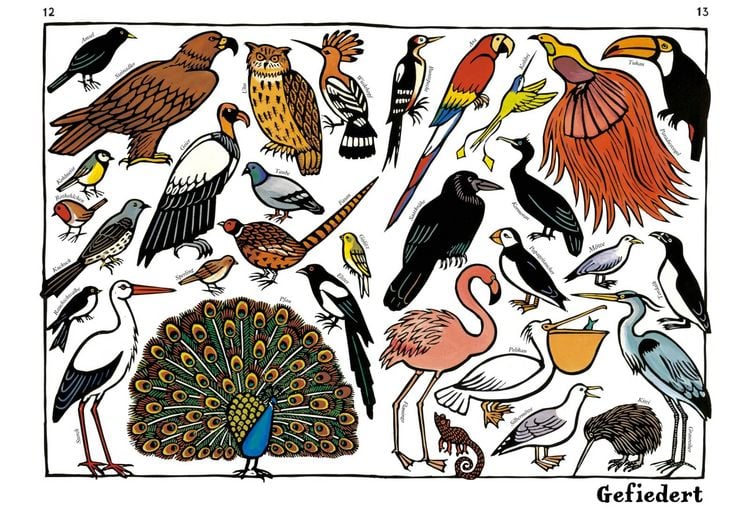 Produktbild: Zoo-ologie