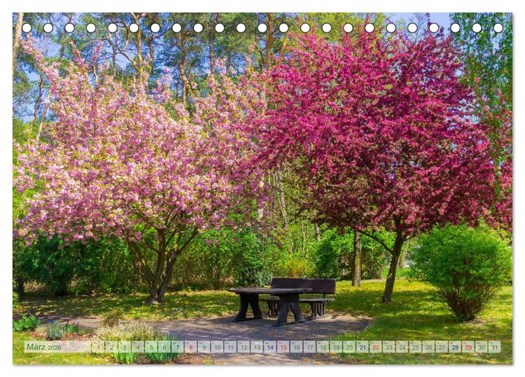 Produktbild: Bad Liebenwerda im Fr&uuml;hling (Tischkalender 2026 DIN A5 quer), CALVENDO Monatskalender