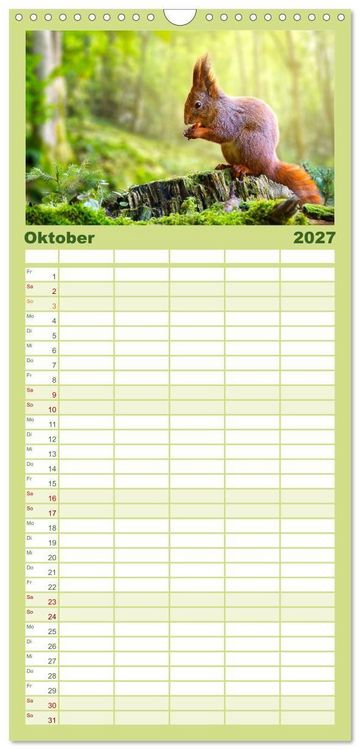 Produktbild: Familienplaner 2027 - Die Tiere des Waldes mit 5 Spalten (Wandkalender, 21 x 45 cm) CALVENDO