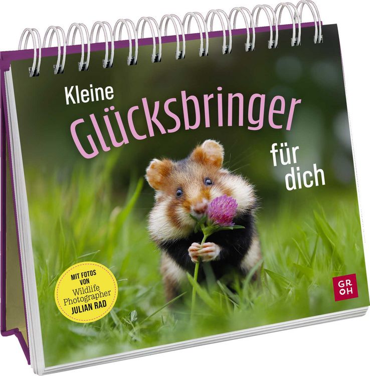 Produktbild: Kleine Gl&uuml;cksbringer f&uuml;r dich
