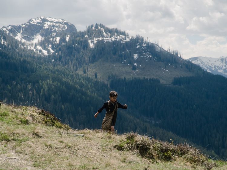 Produktbild: Der Fuchs