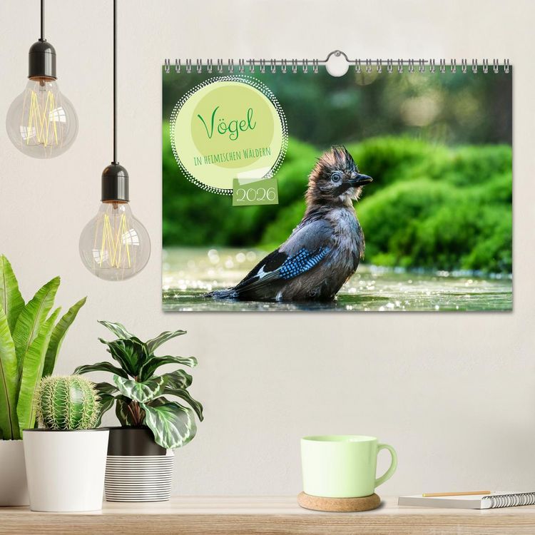 Produktbild: V&ouml;gel in heimischen W&auml;ldern (Wandkalender 2026 DIN A4 quer), CALVENDO Monatskalender