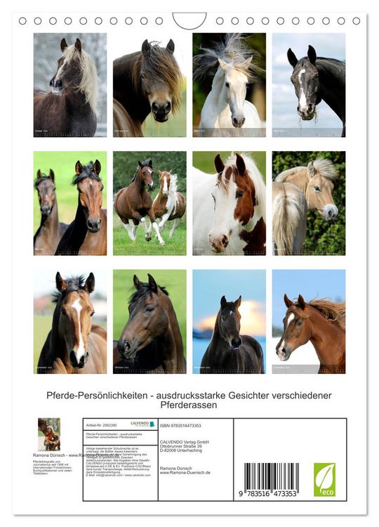 Produktbild: Pferde-Pers&ouml;nlichkeiten - ausdrucksstarke Gesichter verschiedener Pferderassen (Wandkalender 2026 DIN A4 hoch), CALVENDO Monatskalender