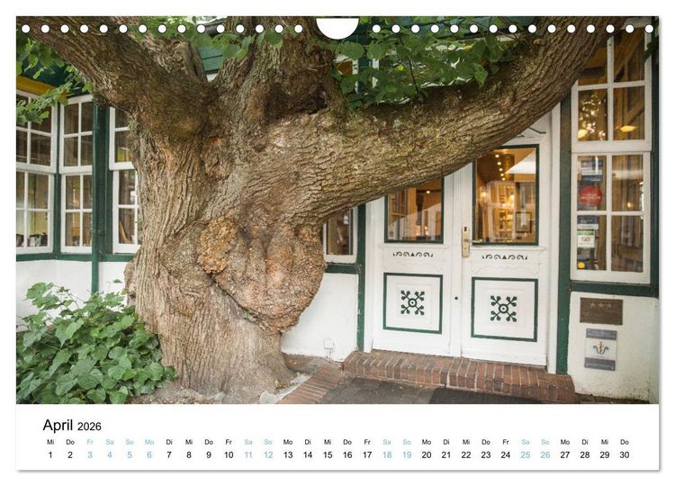 Produktbild: Lieblingsinsel Spiekeroog (Wandkalender 2026 DIN A4 quer), CALVENDO Monatskalender