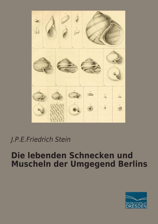 Produktbild: Die lebenden Schnecken und Muscheln der Umgegend Berlins