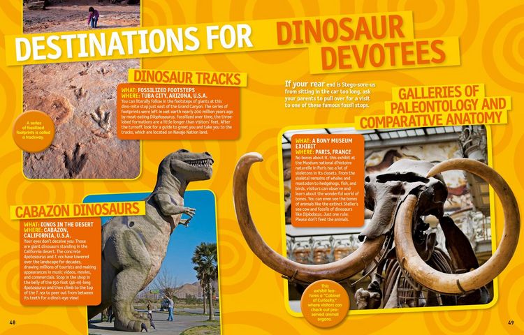 Produktbild: 125 Wacky Roadside Attractions