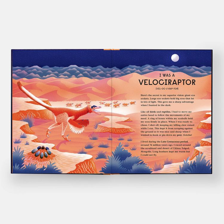 Produktbild: Book of Dinosaurs