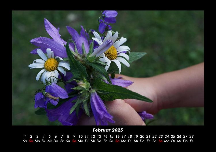 Produktbild: Blumentr&auml;ume 2025 Fotokalender DIN A3