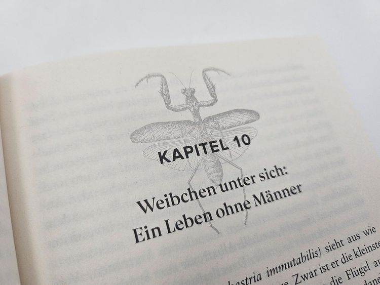 Produktbild: Bitch &ndash; Ein revolution&auml;rer Blick auf Sex, Evolution und die Macht des Weiblichen im Tierreich