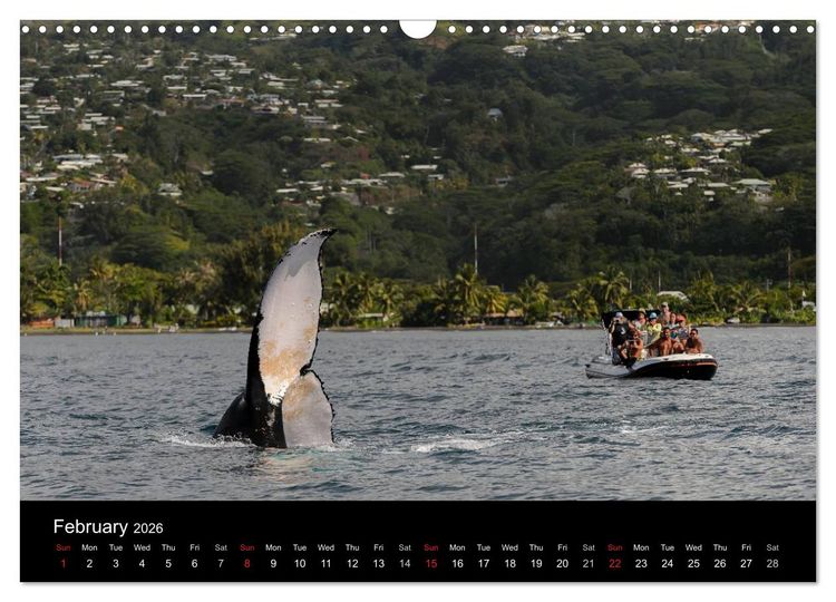 Produktbild: Bora Bora, Paradise islands (Wall Calendar 2026 DIN A3 landscape), CALVENDO 12 Month Wall Calendar