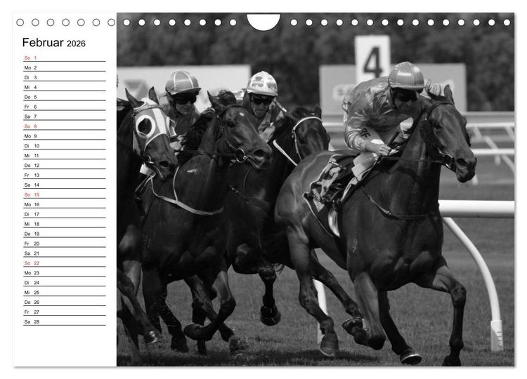 Produktbild: Leidenschaft Pferdesport - Impressionen (Wandkalender 2026 DIN A4 quer), CALVENDO Monatskalender