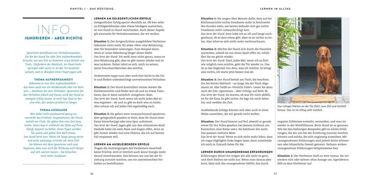 Produktbild: So einfach geht Hundeerziehung