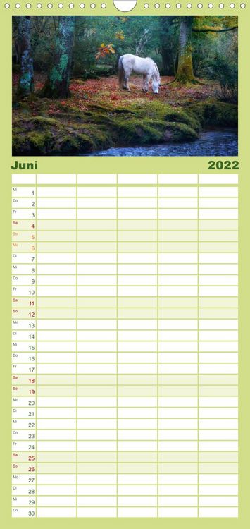 Produktbild: New Forest - England - Familienplaner hoch (Wandkalender 2022 , 21 cm x 45 cm, hoch)