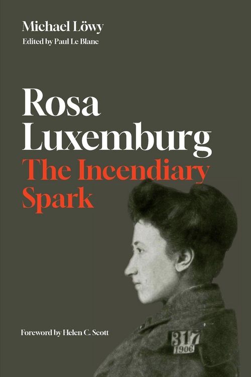 Produktbild: Rosa Luxemburg: The Incendiary Spark