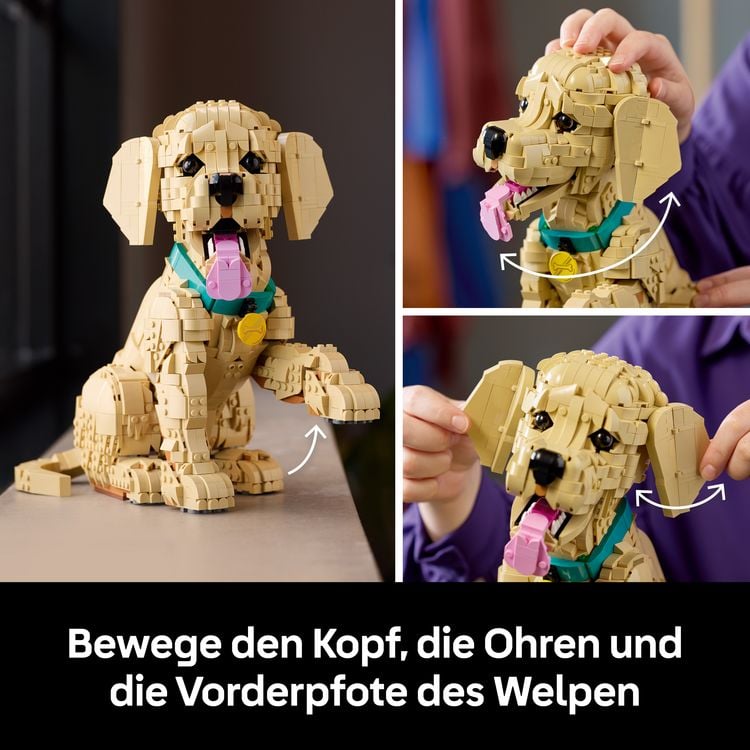 Produktbild: LEGO Icons 11384 Golden Retriever Welpe, Modellbau mit Hundefigur