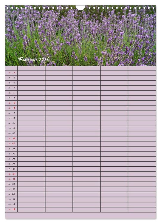 Produktbild: Naturzauber Lavendel - Familienplaner (Wandkalender 2026 DIN A3 hoch), CALVENDO Monatskalender