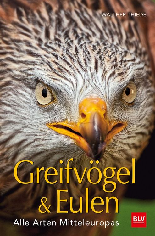 Produktbild: BLV Greifv&ouml;gel & Eulen