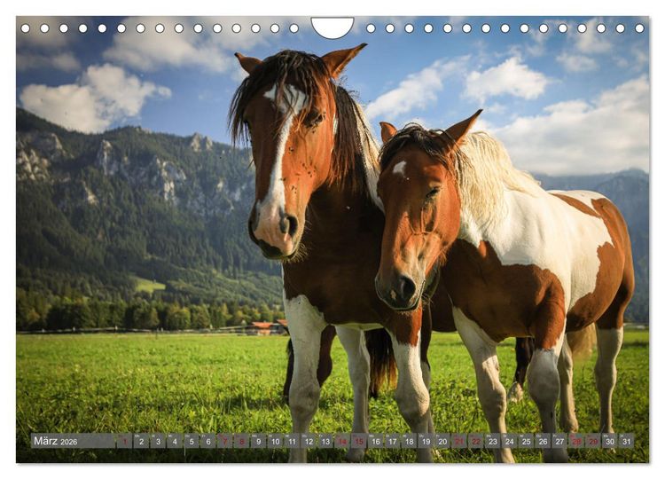Produktbild: Ostallg&auml;u - Zwischen Aggenstein und Forggensee (Wandkalender 2026 DIN A4 quer), CALVENDO Monatskalender
