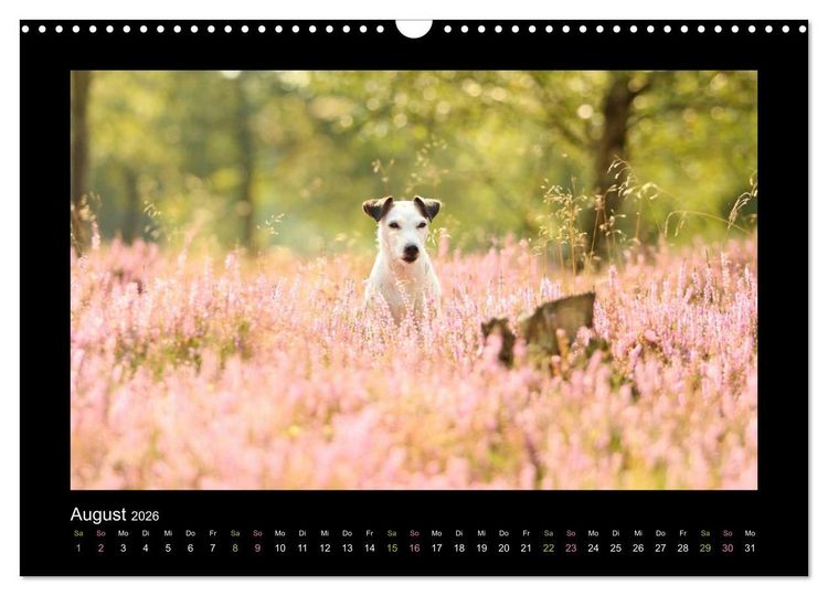 Produktbild: Die Parsons (Wandkalender 2026 DIN A3 quer), CALVENDO Monatskalender