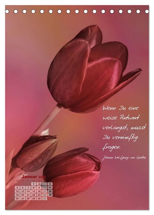 Produktbild: Blumen & Zitate (Tischkalender 2026 DIN A5 hoch), CALVENDO Monatskalender