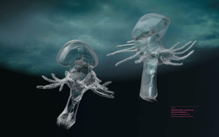 Produktbild: Plastic Ocean: Art and Science Responses to Marine Pollution