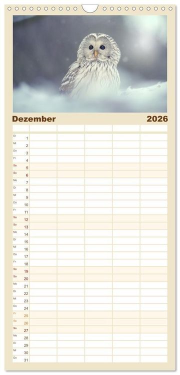 Produktbild: Familienplaner 2026 - Eulen - sch&ouml;n und geheimnisvoll mit 5 Spalten (Wandkalender, 21 x 45 cm) CALVENDO