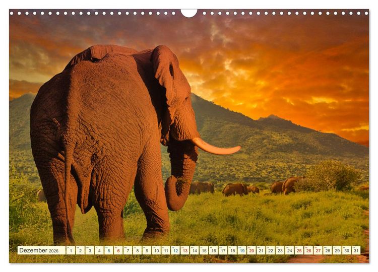 Produktbild: Die Riesen der Savanne (Wandkalender 2026 DIN A3 quer), CALVENDO Monatskalender