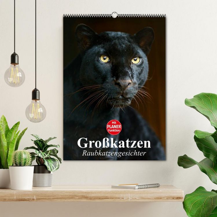 Produktbild: Gro&szlig;katzen. Raubkatzengesichter (Wandkalender 2026 DIN A2 hoch), CALVENDO Monatskalender