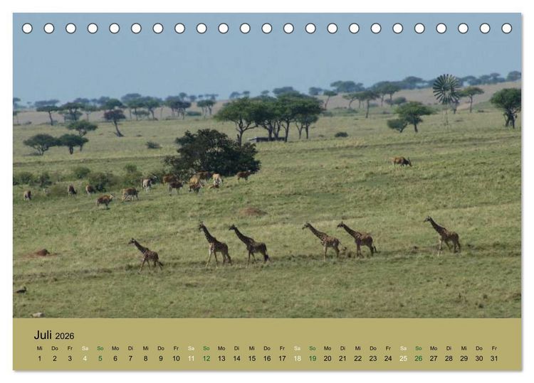 Produktbild: Safari Impressionen / Kenia (Tischkalender 2026 DIN A5 quer), CALVENDO Monatskalender