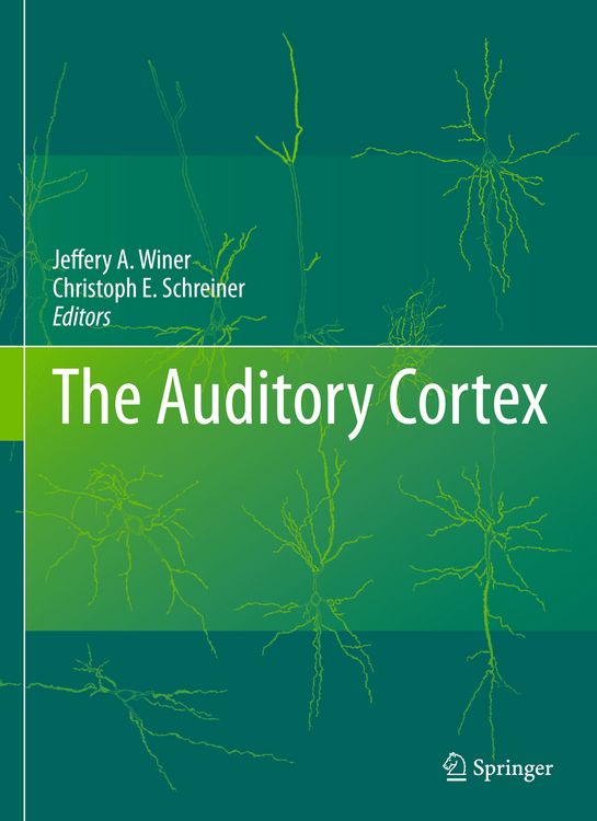 Produktbild: The Auditory Cortex