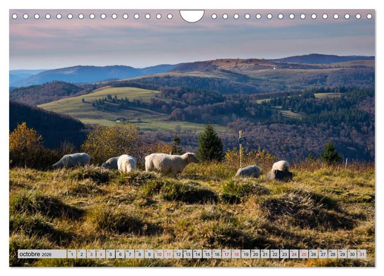 Produktbild: Splendeurs des Vosges (Calendrier mural 2026 DIN A4 vertical), CALVENDO calendrier mensuel