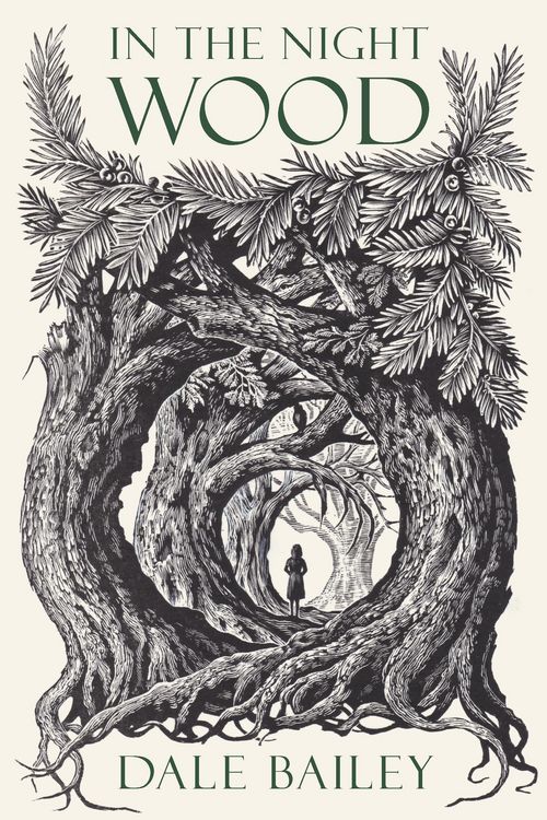 Produktbild: In the Night Wood