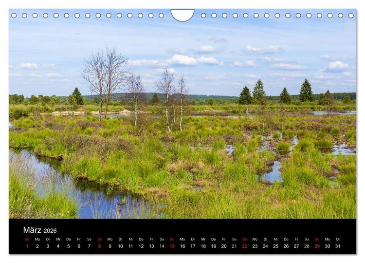 Produktbild: HOHES VENN - Einblicke in ein Hochmoor (Wandkalender 2026 DIN A4 quer), CALVENDO Monatskalender