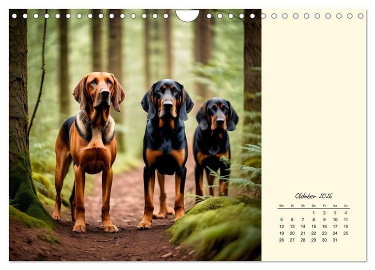 Produktbild: Bloodhound - M&auml;chtige Sp&uuml;rnase (Wandkalender 2026 DIN A4 quer), CALVENDO Monatskalender