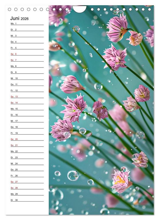 Produktbild: Kr&auml;uterfrische (Wandkalender 2026 DIN A4 hoch), CALVENDO Monatskalender