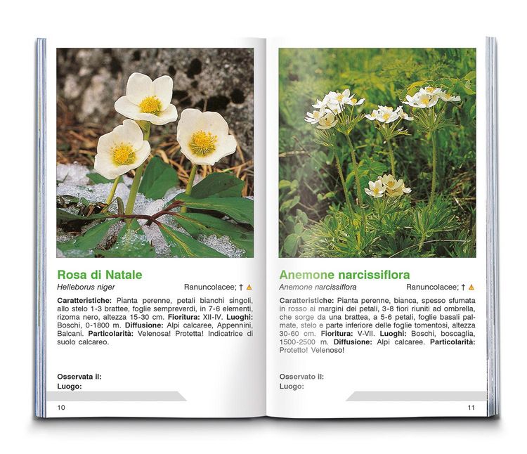 Produktbild: Fiori alpini