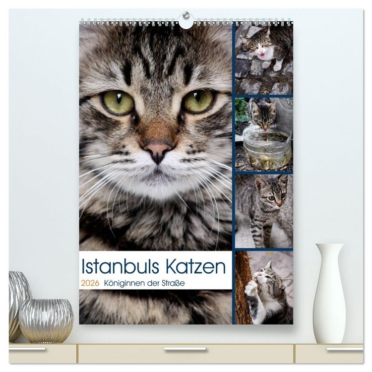 Produktbild: Istanbuls Katzen (hochwertiger Premium Wandkalender 2026 DIN A2 hoch), Kunstdruck in Hochglanz