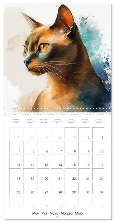 Produktbild: Cat Breeds in Watercolor (Wall Calendar 2026 12 &times; 12 Inch) CALVENDO 12 Month Wall Calendar